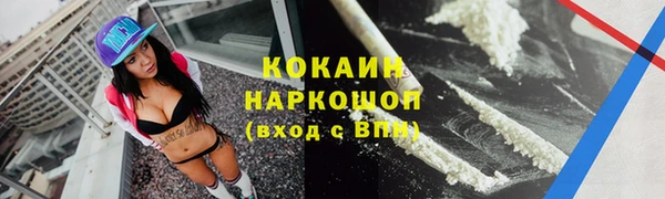 мдпв Новодвинск