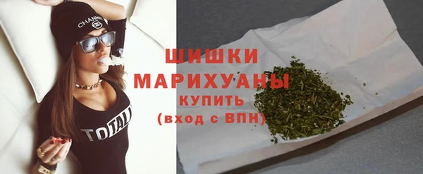 трава Новозыбков