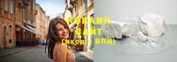 трава Новозыбков