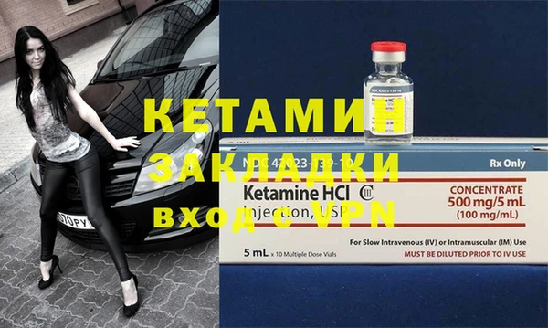 трава Новозыбков