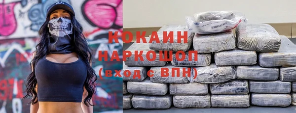 мдпв Новодвинск