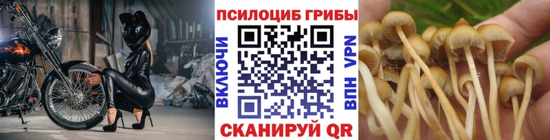 kraken маркетплейс  Кизилюрт  Галлюциногенные грибы мухоморы 