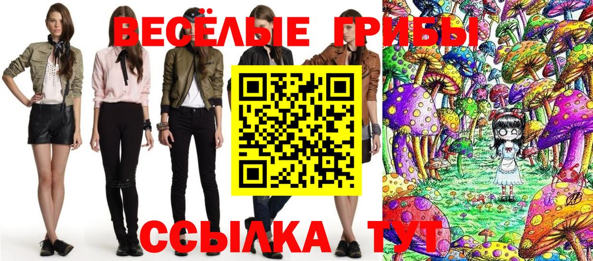 Кизилюрт  Псилоцибиновые грибы мухоморы  что такое   Вход с VPN 