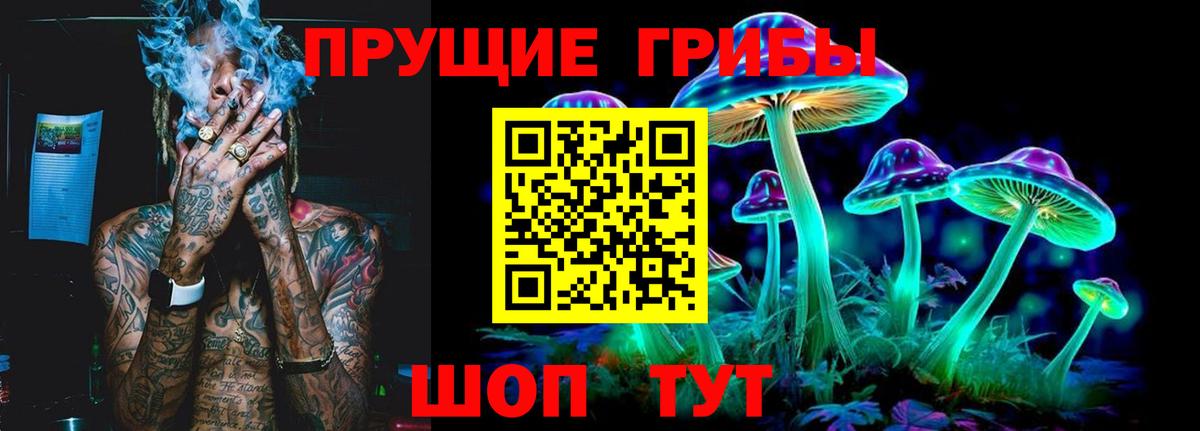 Псилоцибиновые грибы Psilocybine cubensis Кизилюрт